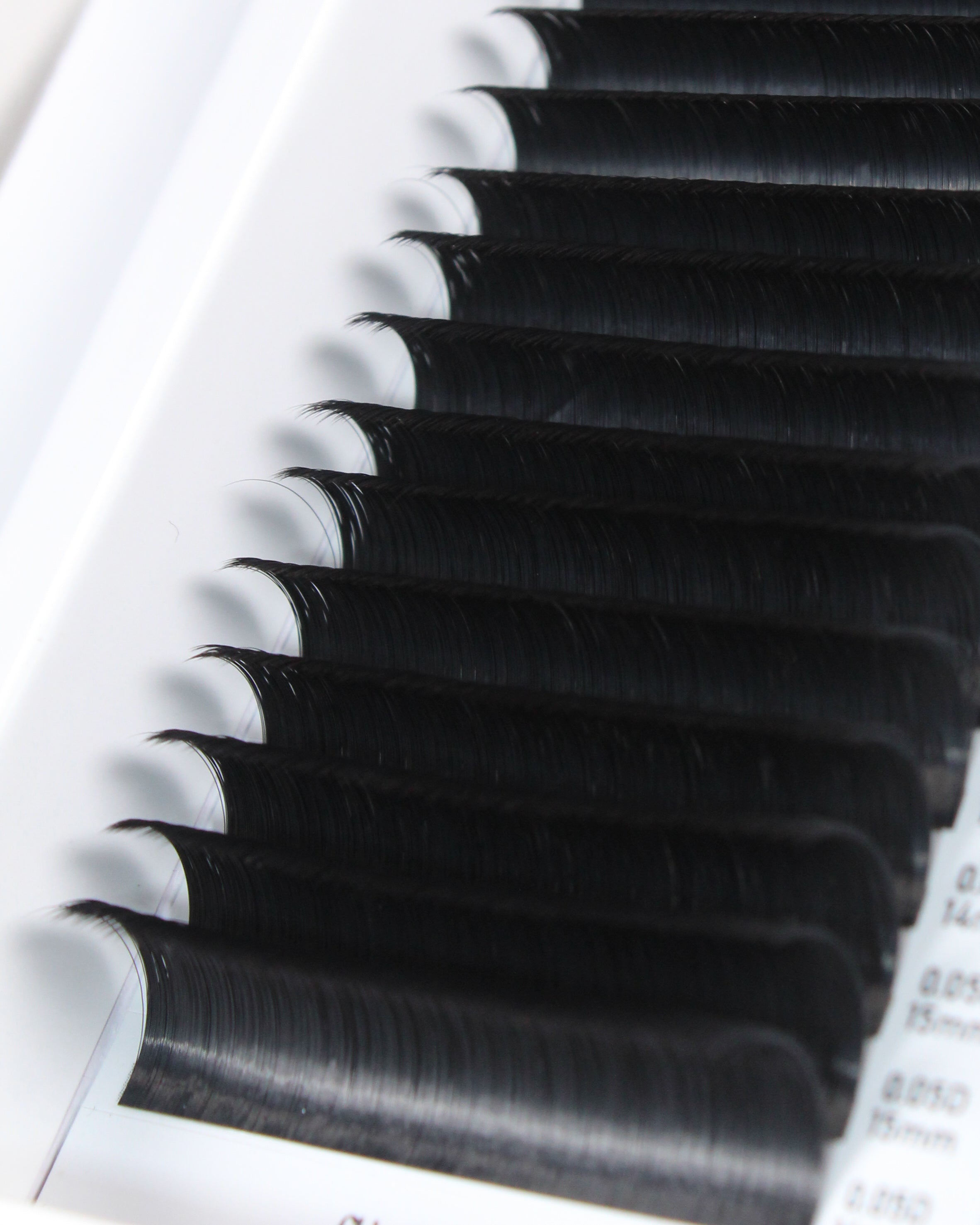 Matte Cashmere Easy Fanning Lash Trays