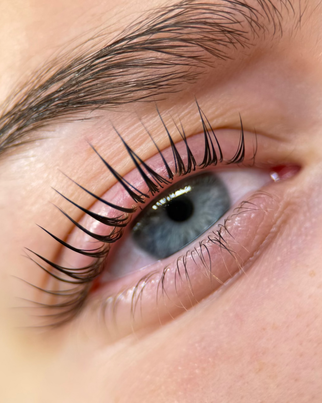 Glueless Lash Lifting Shields