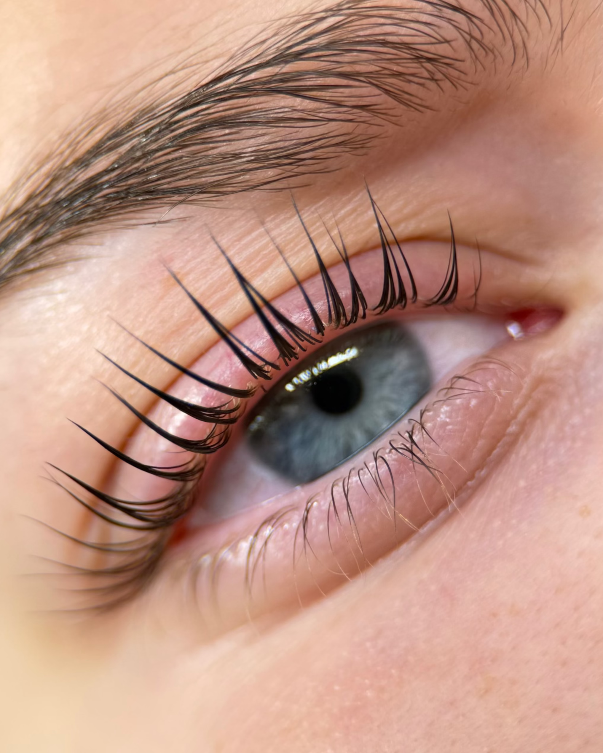 Glueless Lash Lifting Shields